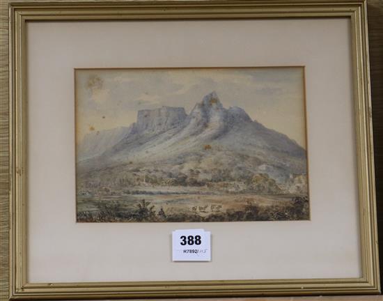 19th century South African School, watercolour, lions head
